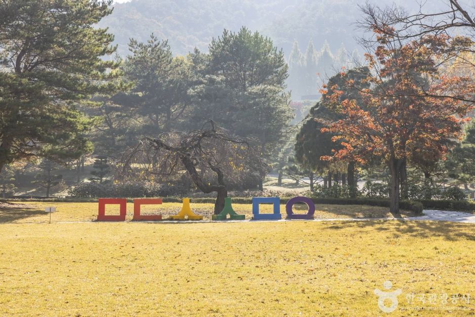 미동산수목원 전경