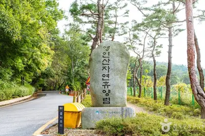 아산 영인산자연휴양림 전경